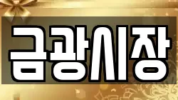 금광시장