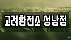 고려환전소 성남점