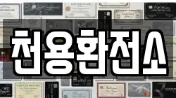 천용환전소