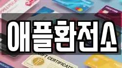 애플환전소