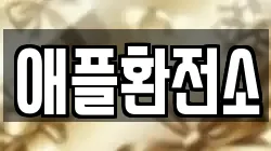 애플환전소