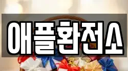애플환전소