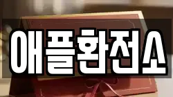 애플환전소
