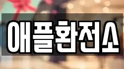 애플환전소