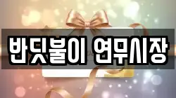 반딧불이 연무시장
