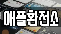 애플환전소