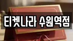티켓나라 수원역점