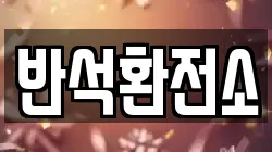 반석환전소