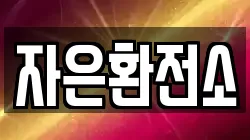 자은환전소