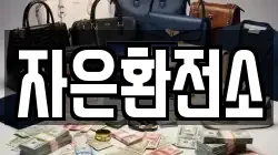 자은환전소