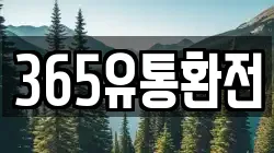 365유통환전