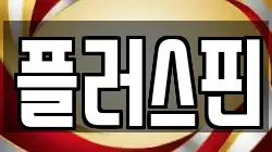 플러스핀