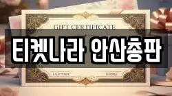 티켓나라 안산총판
