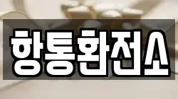 항통환전소