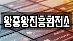 왕중왕진흥환전소
