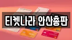 티켓나라 안산총판