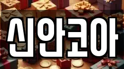 신안코아