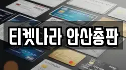 티켓나라 안산총판