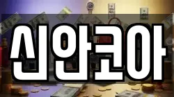 신안코아
