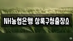 NH농협은행 상록구청출장소