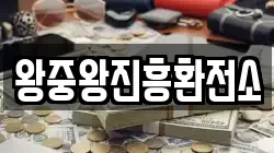 왕중왕진흥환전소