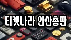 티켓나라 안산총판