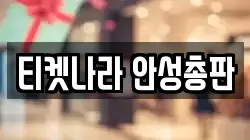 티켓나라 안성총판
