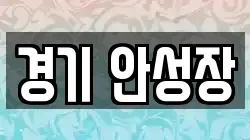 경기 안성장