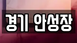 경기 안성장