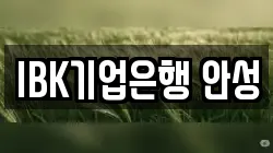IBK기업은행 안성
