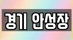 경기 안성장