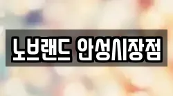 노브랜드 안성시장점