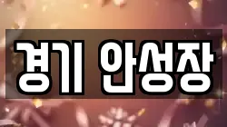 경기 안성장