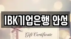 IBK기업은행 안성