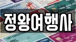 정왕여행사