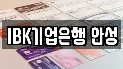 IBK기업은행 안성