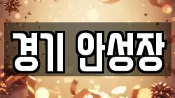 경기 안성장