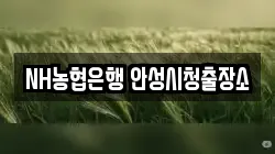 NH농협은행 안성시청출장소