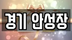경기 안성장