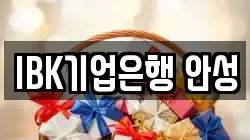 IBK기업은행 안성