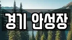 경기 안성장