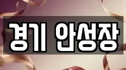 경기 안성장