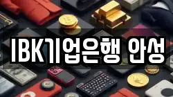 IBK기업은행 안성