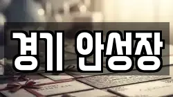 경기 안성장