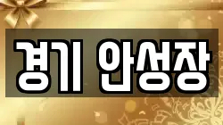경기 안성장