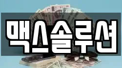 맥스솔루션