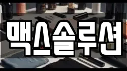 맥스솔루션