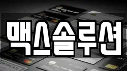 맥스솔루션