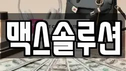 맥스솔루션