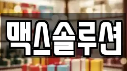맥스솔루션